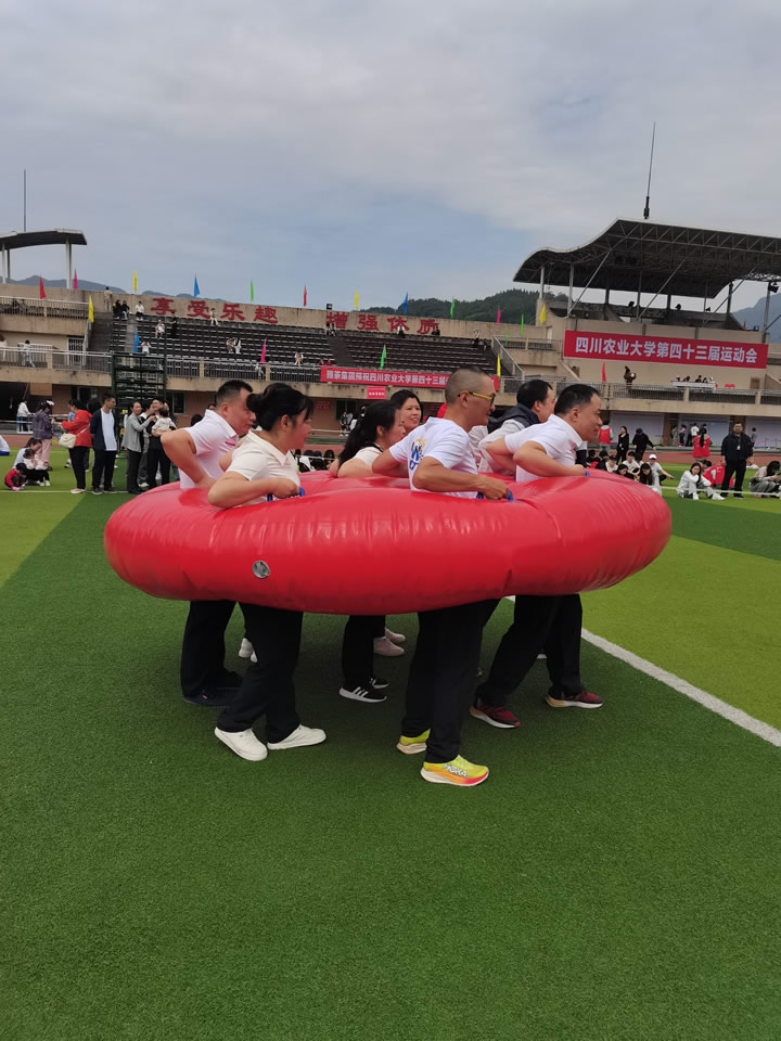 飒!运动会上图书档案人努力拼搏的身影