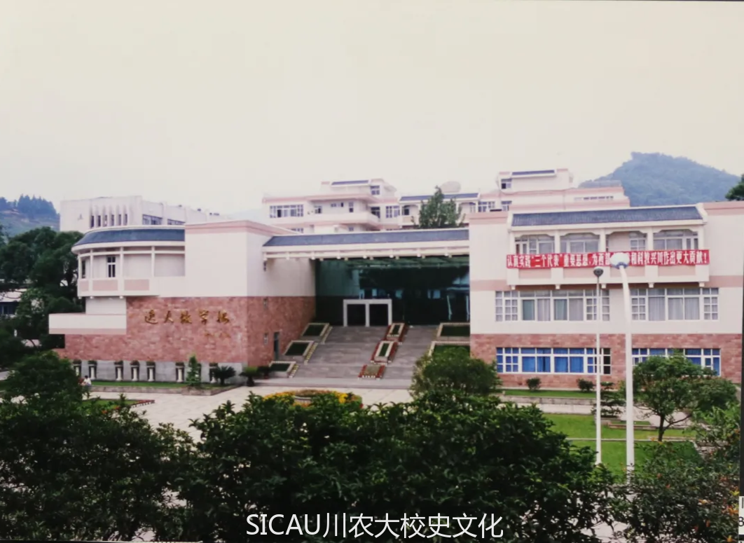 在逸夫博物馆偶遇和恐龙同时代的绿植-中国地质大学逸夫博物馆