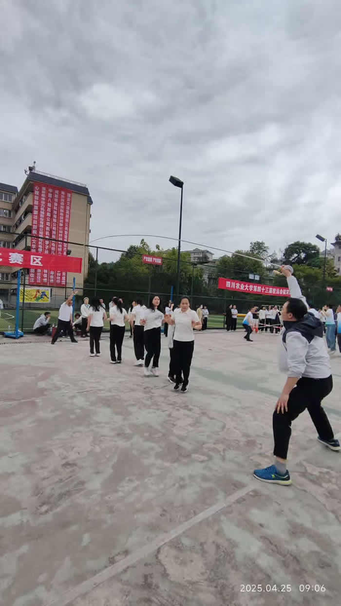 飒!运动会上图书档案人努力拼搏的身影
